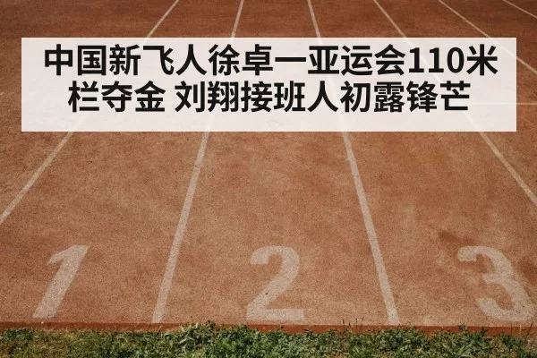 中国新飞人徐卓一亚运会110米栏夺金 刘翔接班人初露锋芒
