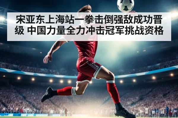 宋亚东上海站一拳击倒强敌成功晋级 中国力量全力冲击冠军挑战资格